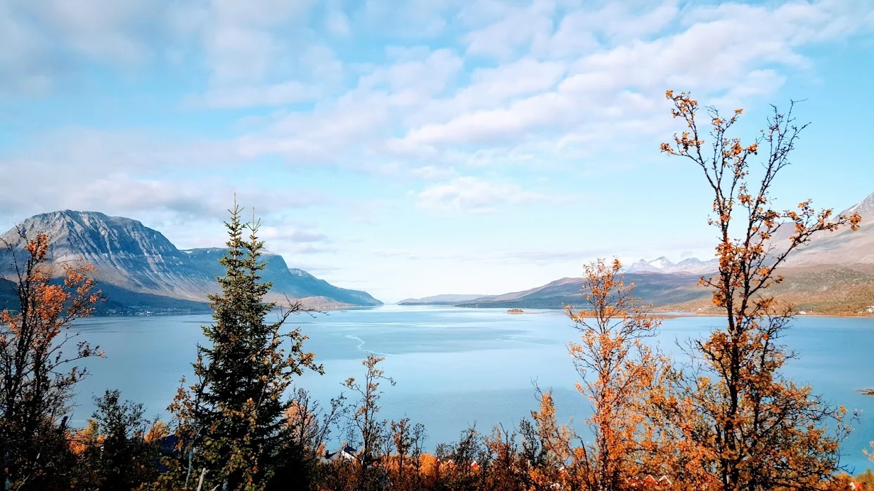 Blå fjord mellom fjell, omgitt av grantrær og gyllent høstløv